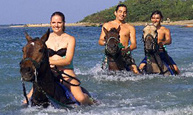 Horseback Ride & Swim
On the Beach