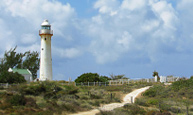 Visit the Lighthouse