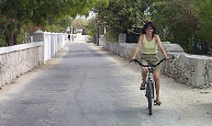 Bicycle Tour
