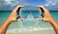 Dive & Snorkel at Salt Cay