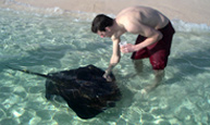 Stingray Adventure at Gibbs Cay